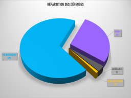 Répartition des dépenses