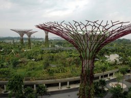 Singapour 010