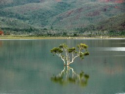 Nouvelle Calédonie 005