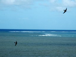 Nouvelle Calédonie 009