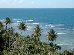 Nouvelle Calédonie 052