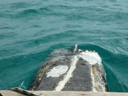 Nouvelle Calédonie 074