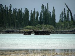 Nouvelle Calédonie 081