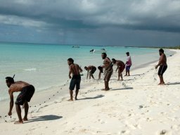 Nouvelle Calédonie 100