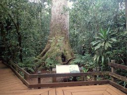 Nouvelle Calédonie 138