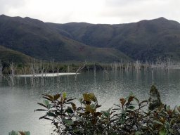 Nouvelle Calédonie 140