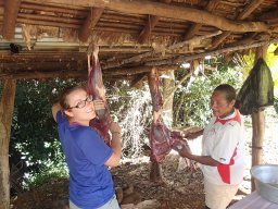 Nouvelle Calédonie 155