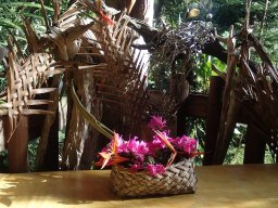 Nouvelle Calédonie 160