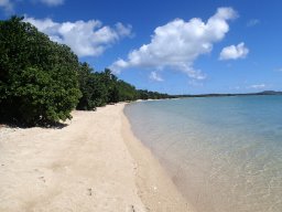 Nouvelle Calédonie 163