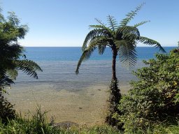 Nouvelle Calédonie 179