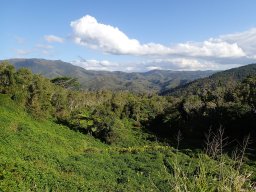 Nouvelle Calédonie 188