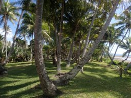 Nouvelle Calédonie 190