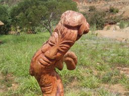 Nouvelle Calédonie 193