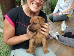 Nouvelle Calédonie 197