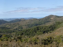 Nouvelle Calédonie 198