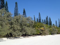 Nouvelle Calédonie 206