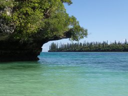 Nouvelle Calédonie 217