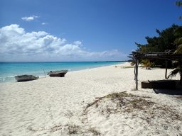 Nouvelle Calédonie 238