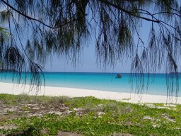 Nouvelle Calédonie 239