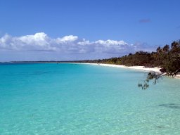 Nouvelle Calédonie 244