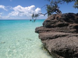 Nouvelle Calédonie 245