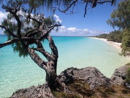 Nouvelle Calédonie 246