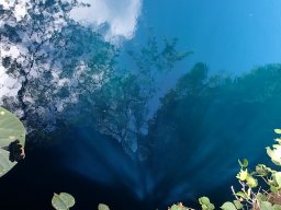 Nouvelle Calédonie 259