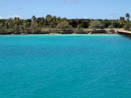 Nouvelle Calédonie 263