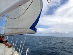 Nouvelle Calédonie 271