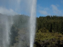 Nouvelle Zélande 001