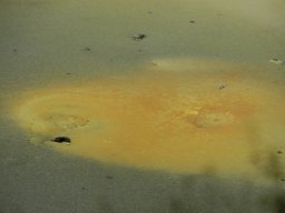 Nouvelle Zélande 004