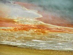 Nouvelle Zélande 006