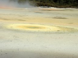 Nouvelle Zélande 007