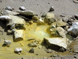 Nouvelle Zélande 009