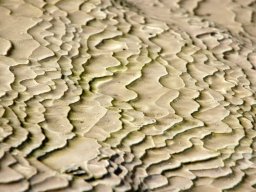 Nouvelle Zélande 012