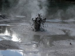 Nouvelle Zélande 013