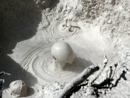 Nouvelle Zélande 014