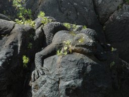 Nouvelle Zélande 017