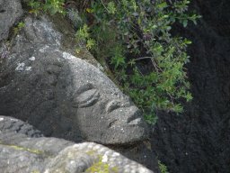 Nouvelle Zélande 020