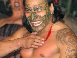 Nouvelle Zélande 034