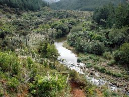 Nouvelle Zélande 049