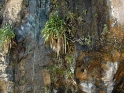 Nouvelle Zélande 058