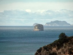 Nouvelle Zélande 060