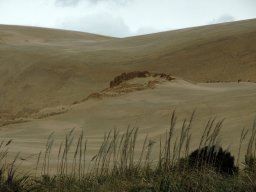 Nouvelle Zélande 084