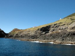 Nouvelle Zélande 101