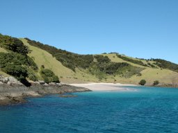 Nouvelle Zélande 104