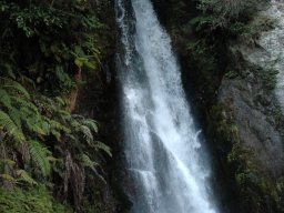 Nouvelle Zélande 119