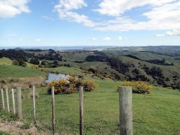 Nouvelle Zélande 125