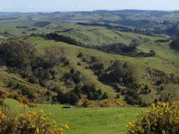 Nouvelle Zélande 126