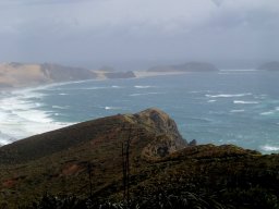 Nouvelle Zélande 131